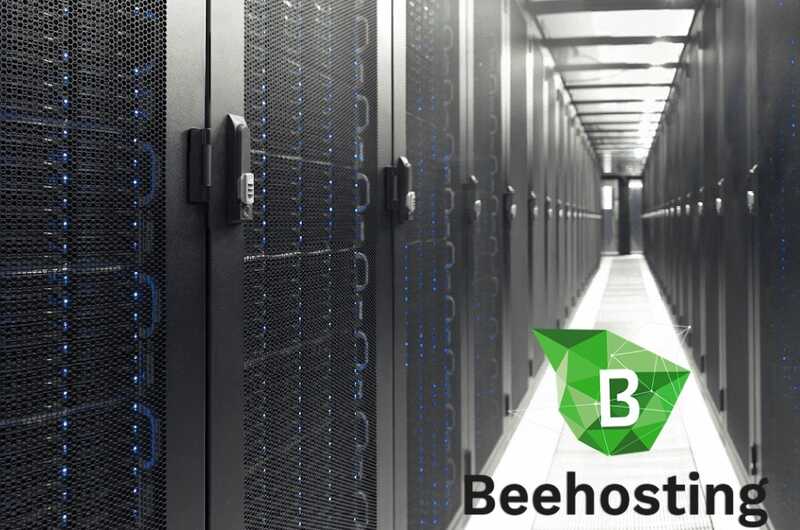 Zero indicators, no financial reports and ties to Russia: what the "fast European hosting" BeeHosting by Igor Shats is hiding